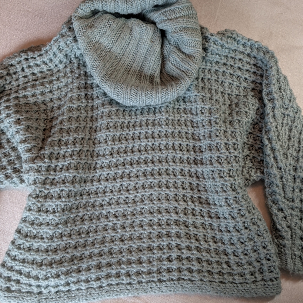 Express Knit Turtleneck Sweater